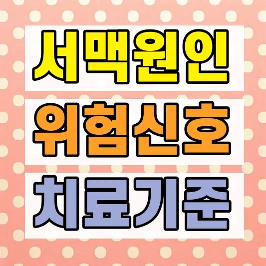 서맥 원인 위험신호 증상