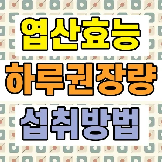 엽산 효능 흡수율 비교