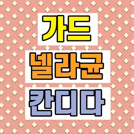 가드넬라균 칸디다 질염 차이