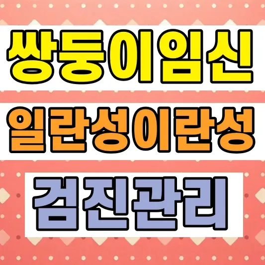 쌍둥이 임신 일란성 이란성 차이