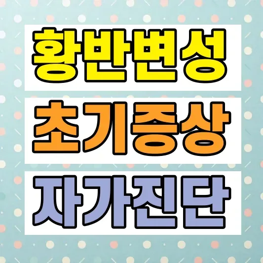 황반변성 원인 위험요소